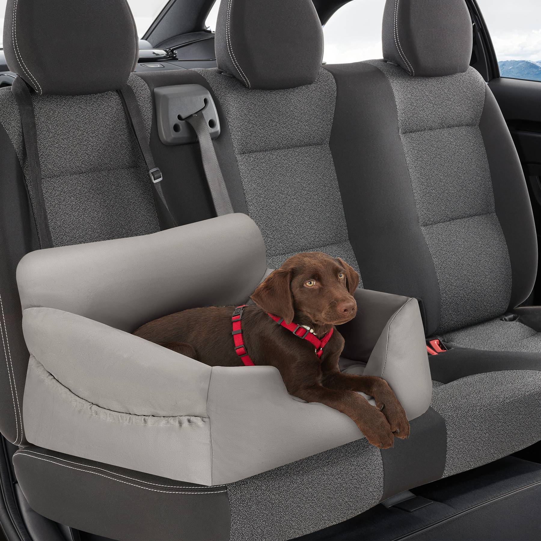 Siège Auto Rehausseur Pour Chien Avec Laisse Réglable - Mousse à Mémoire De Forme, Fond Antidérapant, Taille Ajustable