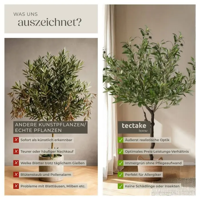wann kann ich rhododendron düngen Rhododendron Dünger flüssig 1 L main image 1