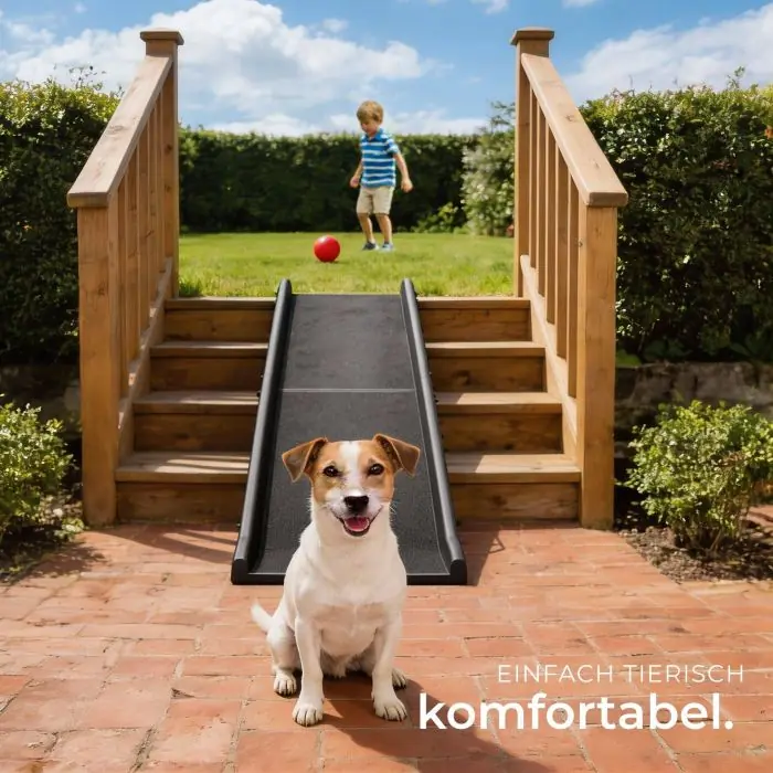 Hunderampe Paw Step online kaufen | tectake
