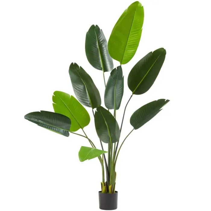 Pianta artificiale strelitzia Tropic